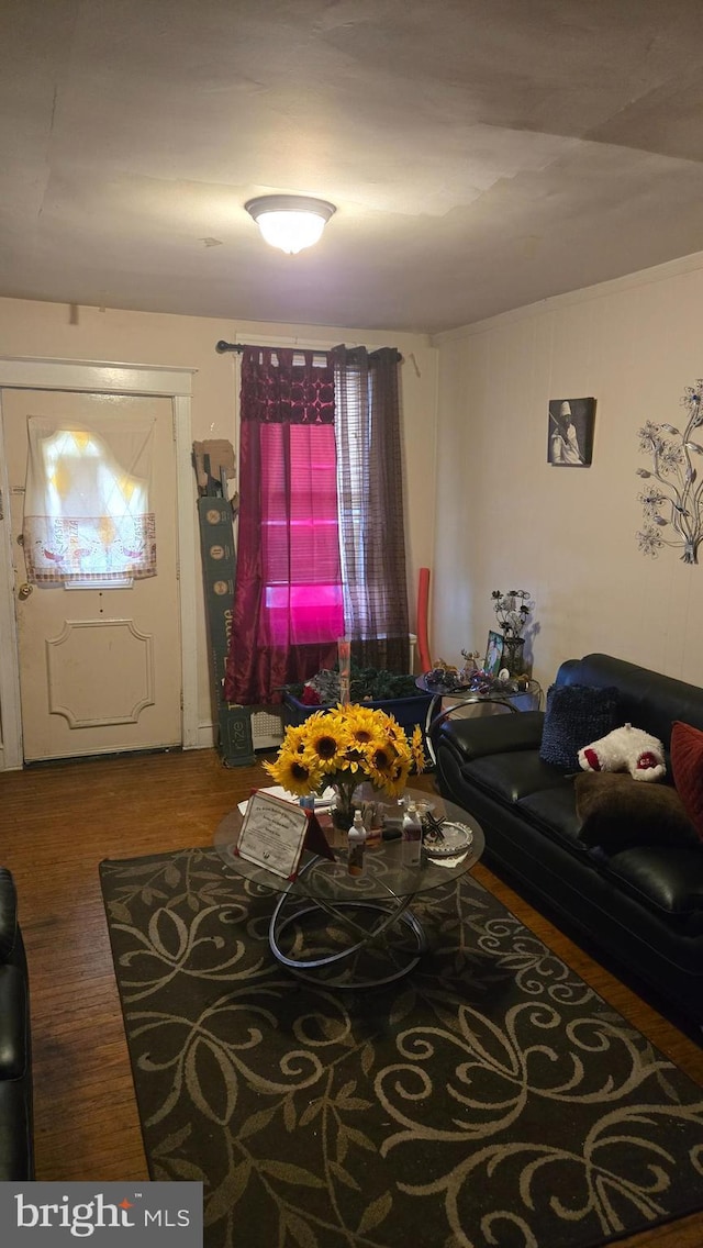 4932 Gransback St, Philadelphia, PA 19120 - living room featuring wood finished floors
