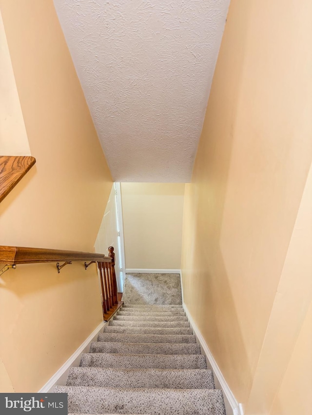 8017 Cipher Row, Jessup, MD 20794 - stairs featuring a textured ceiling and carpet floors