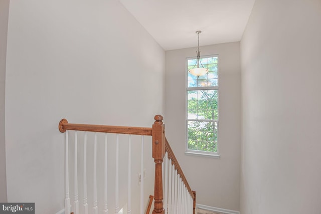 43415 Madison Renee Ter Unit 120, Ashburn, VA 20147 - stairway featuring plenty of natural light and baseboards