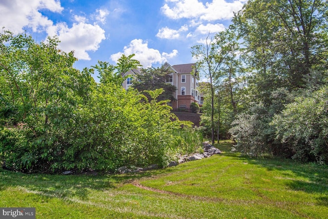 43415 Madison Renee Ter Unit 120, Ashburn, VA 20147 - view of green lawn