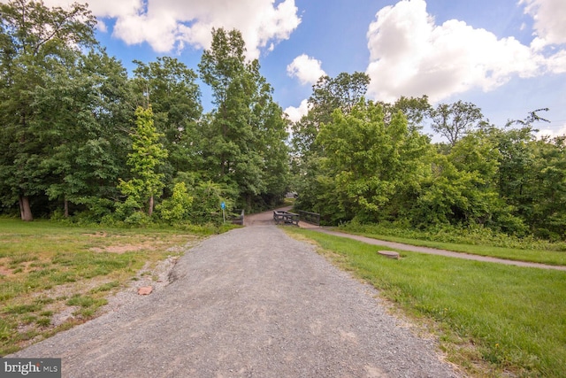 43415 Madison Renee Ter Unit 120, Ashburn, VA 20147 - view of street with a forest view