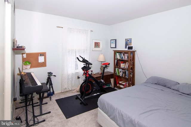 36 Covington Dr, Sicklerville, NJ 08081 - view of carpeted bedroom
