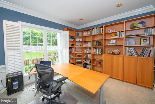32 Eagleton Farm Rd, Newtown, PA 18940 - office with crown molding and light carpet