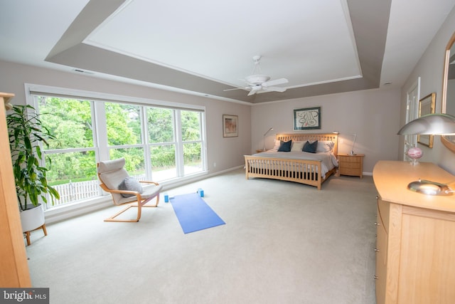 32 Eagleton Farm Rd, Newtown, PA 18940 - bedroom with a raised ceiling, carpet flooring, and multiple windows