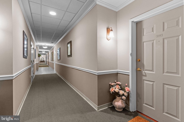 4208 Knox Ct Unit 4208, Warwick, PA 18974 - hallway featuring carpet floors, baseboards, and ornamental molding