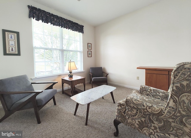1513 Turtle Creek Ln, Quakertown, PA 18951 - sitting room with carpet flooring and baseboards