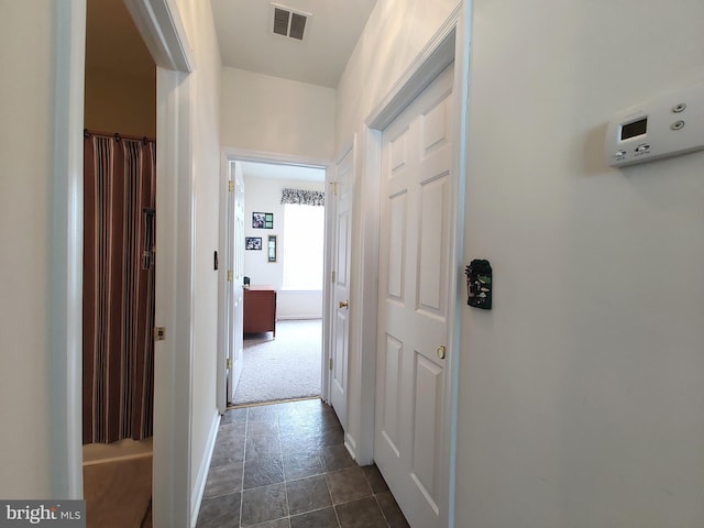 1513 Turtle Creek Ln, Quakertown, PA 18951 - corridor with baseboards, dark stone finish floors, and dark carpet