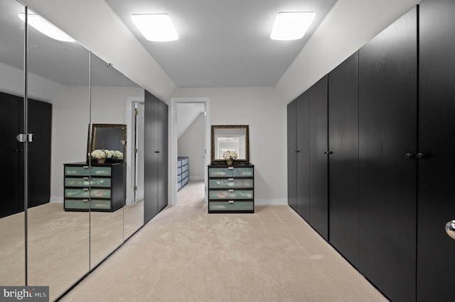 704 Turnbridge Rd, Wayne, PA 19087 - walk in closet with light carpet