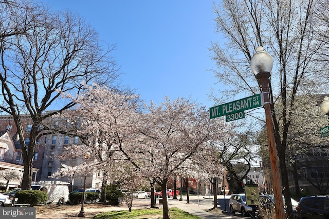 1801 Park Rd NW Unit 2, Washington, DC 20010 - view of surrounding community