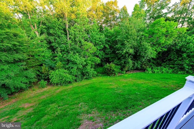 22 Thaxton Ct, Stafford, VA 22556 - view of green lawn
