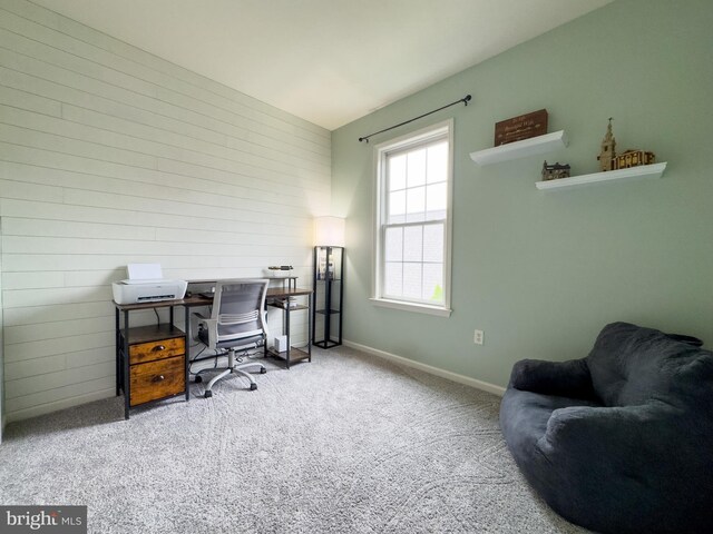 312 Sagamore Hl, Mount Joy, PA 17552 - carpeted home office featuring baseboards