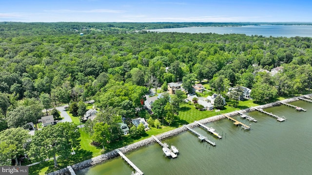 966 Walnut Ave, North Beach, MD 20714 - aerial view of a forest and a nearby body of water