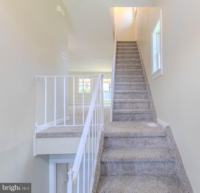 4128 Whiting Rd, Philadelphia, PA 19154 - stairs featuring carpet