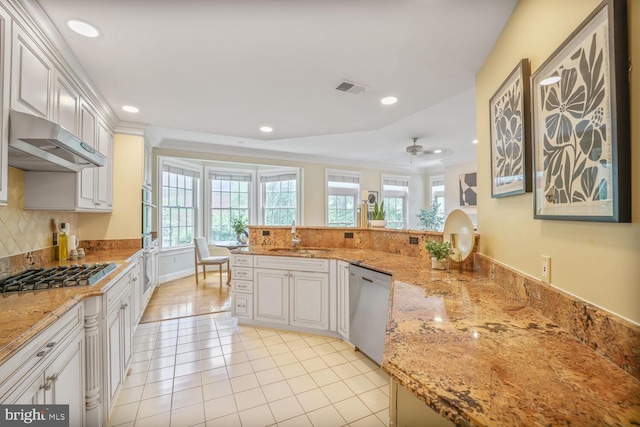 2053 Mayfair Mclean, Falls Church, VA 22043 - kitchen featuring under cabinet range hood, stainless steel appliances, a sink, recessed lighting, and backsplash
