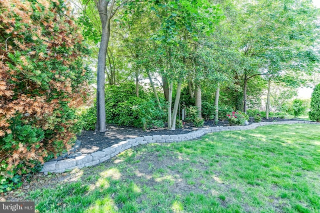 3 Canterbury Pl, Southampton, NJ 08088 - view of green lawn