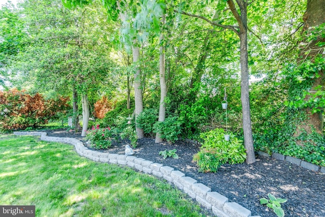 3 Canterbury Pl, Southampton, NJ 08088 - view of green lawn