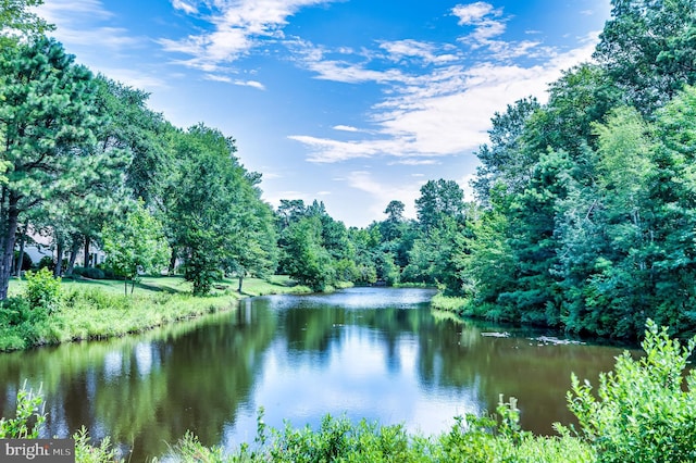 3 Canterbury Pl, Southampton, NJ 08088 - water view with a heavily wooded area