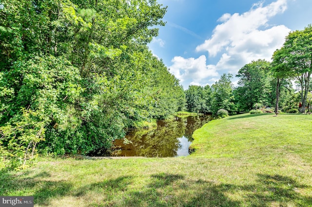 3 Canterbury Pl, Southampton, NJ 08088 - view of green lawn with a water view