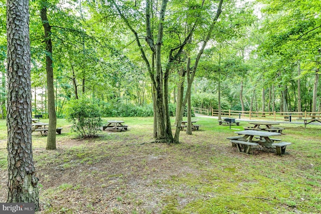 3 Canterbury Pl, Southampton, NJ 08088 - view of yard