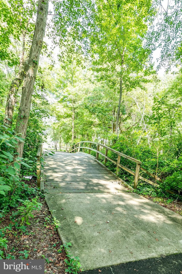 3 Canterbury Pl, Southampton, NJ 08088 - view of property's community