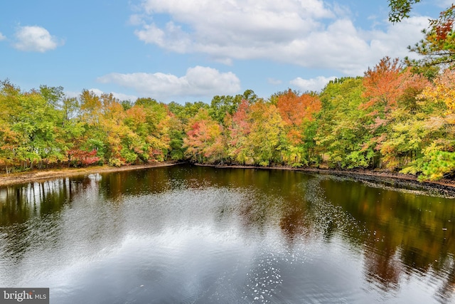 3 Canterbury Pl, Southampton, NJ 08088 - water view with a forest