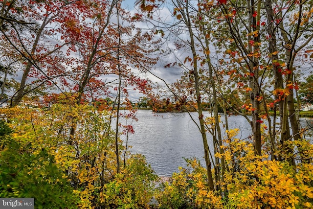 3 Canterbury Pl, Southampton, NJ 08088 - water view