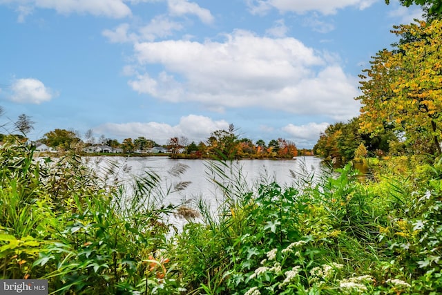 3 Canterbury Pl, Southampton, NJ 08088 - water view