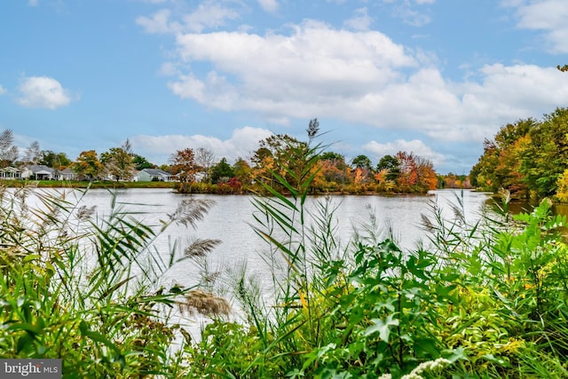 3 Canterbury Pl, Southampton, NJ 08088 - water view