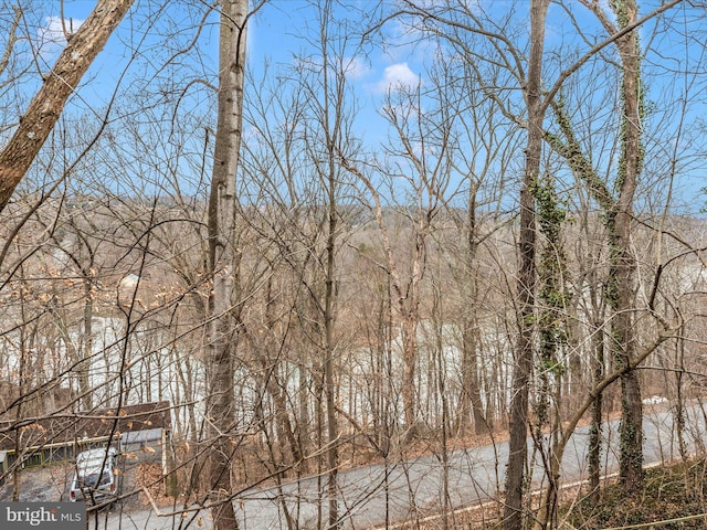 6518 Rimrock Rd, New Market, MD 21774 - water view