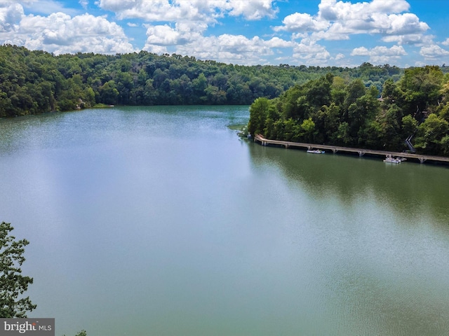 6518 Rimrock Rd, New Market, MD 21774 - water view featuring a heavily wooded area
