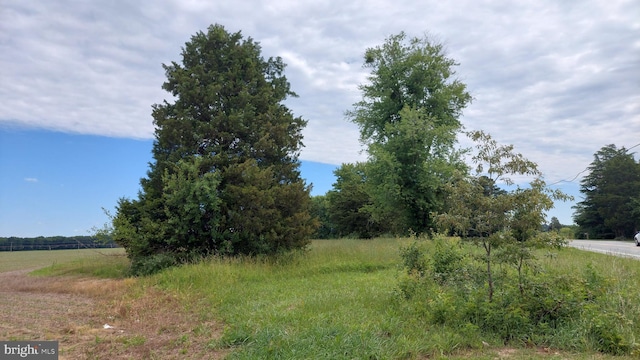 12316 Ridgely Rd, Ridgely, MD 21660