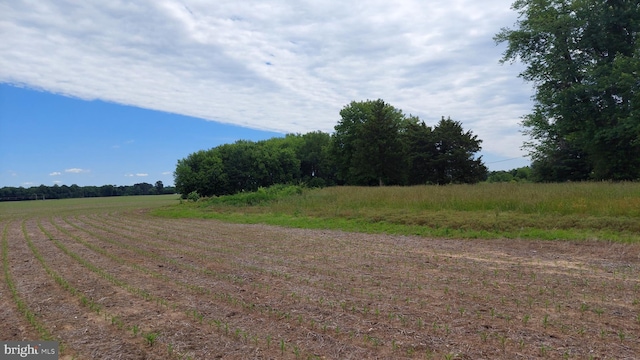 12316 Ridgely Rd, Ridgely, MD 21660
