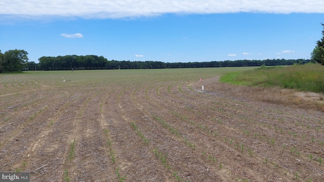 12316 Ridgely Rd, Ridgely, MD 21660