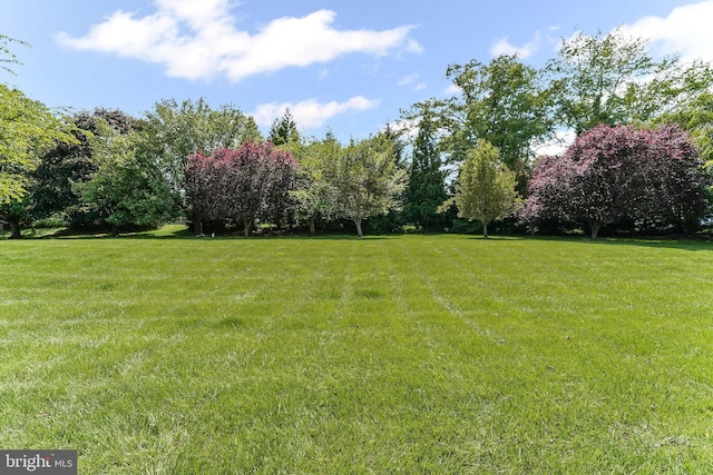 2 Raven Dr, Chadds Ford, PA 19317 - view of grassy yard