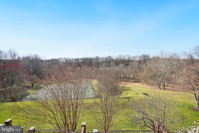 9630 Beman Woods Way, Potomac, MD 20854 - view of yard