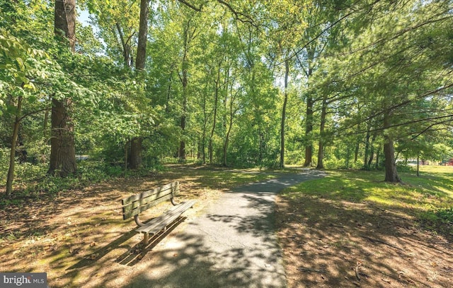 9630 Beman Woods Way, Potomac, MD 20854 - view of street featuring a forest view