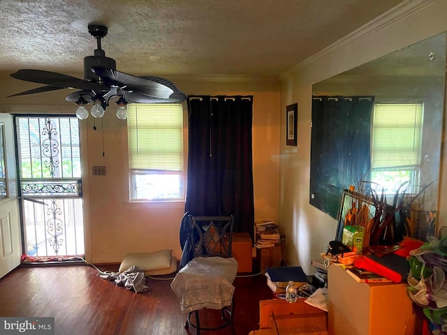 1618 Fort Dupont St SE, Washington, DC 20020 - living area featuring a ceiling fan, wood finished floors, and ornamental molding