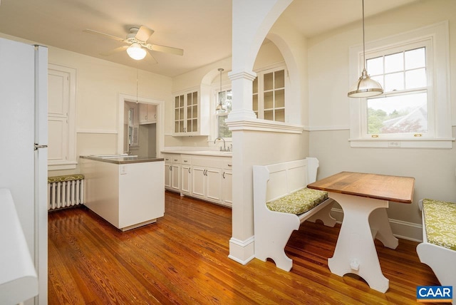 803 Alleghany Ave, Staunton, VA 24401 - kitchen featuring radiator, a ceiling fan, glass insert cabinets, dark wood-style flooring, and white cabinets