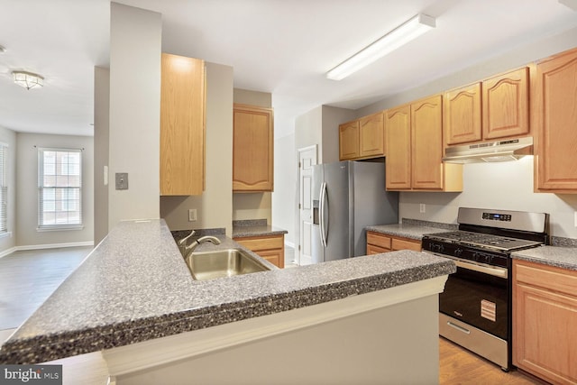 20866 Rockingham Ter, Sterling, VA 20165 - kitchen featuring stainless steel appliances, under cabinet range hood, a sink, and light brown cabinets