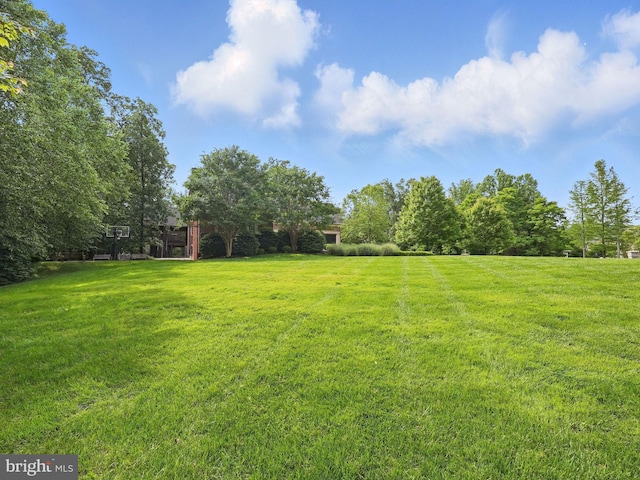 2555 Vale Ridge Ct, Oakton, VA 22124 - view of grassy yard