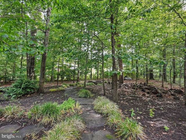 2555 Vale Ridge Ct, Oakton, VA 22124 - view of yard
