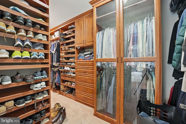 2555 Vale Ridge Ct, Oakton, VA 22124 - spacious closet featuring carpet
