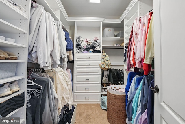 2555 Vale Ridge Ct, Oakton, VA 22124 - spacious closet featuring carpet