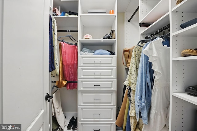 2555 Vale Ridge Ct, Oakton, VA 22124 - view of spacious closet