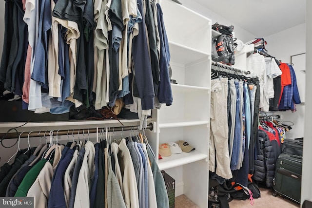 2555 Vale Ridge Ct, Oakton, VA 22124 - walk in closet with carpet flooring