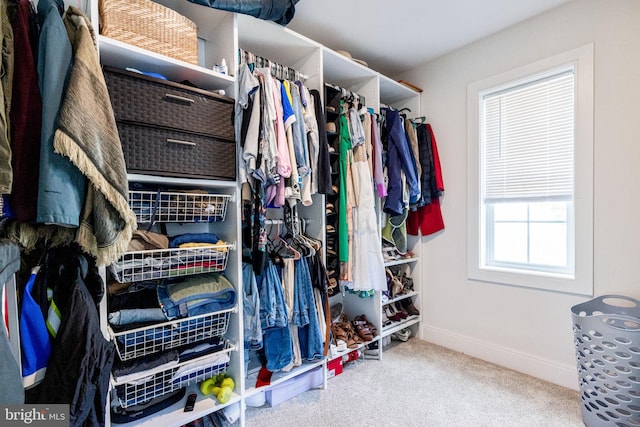 528 N Third St, Martinsburg, WV 25404 - walk in closet with carpet flooring