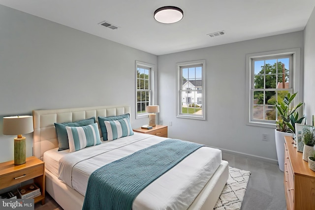 9509 Lincoln Ave, Manassas, VA 20110 - bedroom featuring multiple windows, baseboards, and carpet flooring