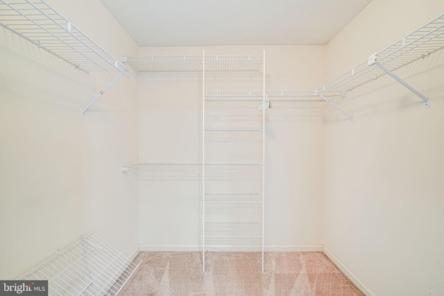 1434 Cellar Creek Way, Herndon, VA 20170 - spacious closet with carpet