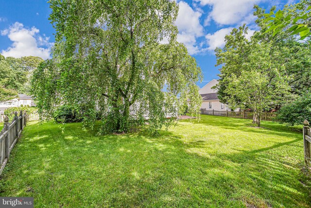 1434 Cellar Creek Way, Herndon, VA 20170 - view of yard