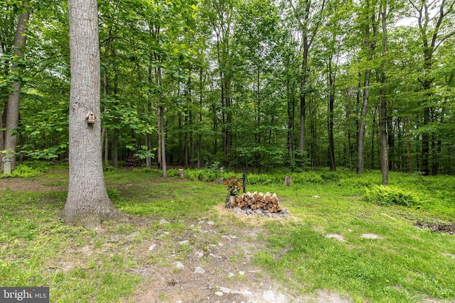 2733 Wood Ln, Morgantown, PA 19543 - view of yard with a forest view